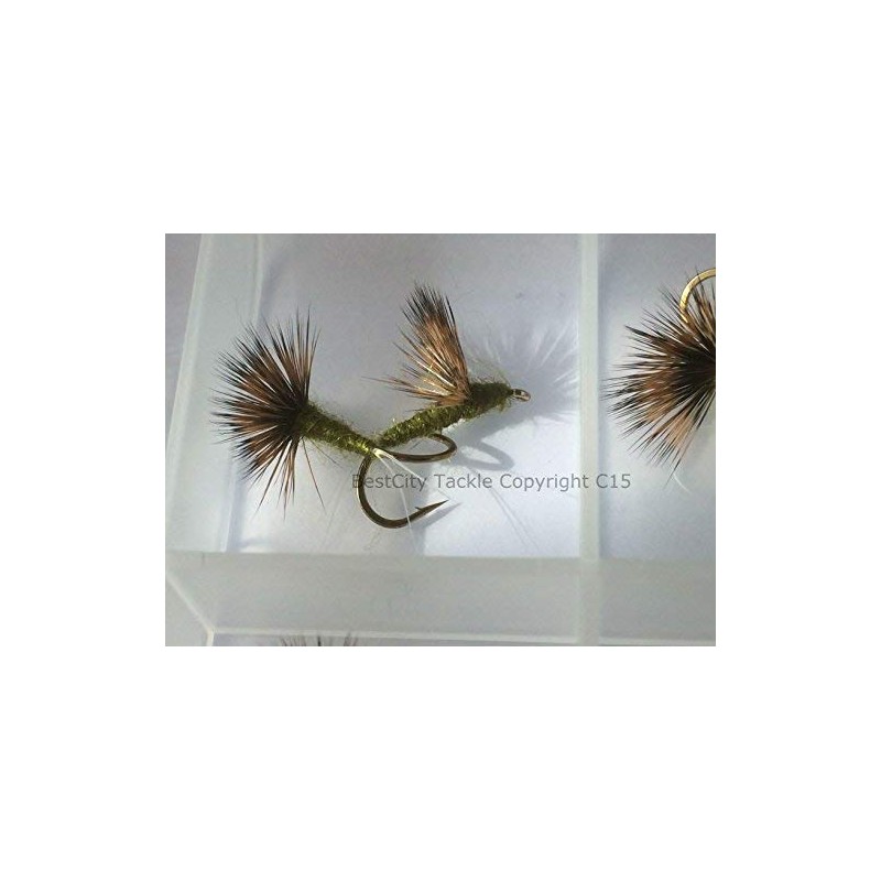 BestCity Fly Fishing Premium Comparadun Dry Flies 16 Pack Includes