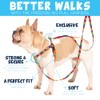 2 Hounds Design Freedom No-Pull Dog Harness with Leash, Burgundy,