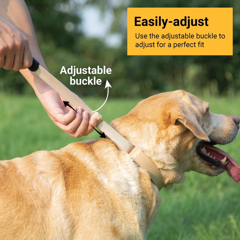 SVD.PET Dog Prong Collar for No-Pull Training, Quick-Release Buckle Adjustable