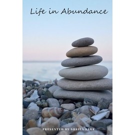 Life in Abundance: Stories of Purpose, Promise, and Provision