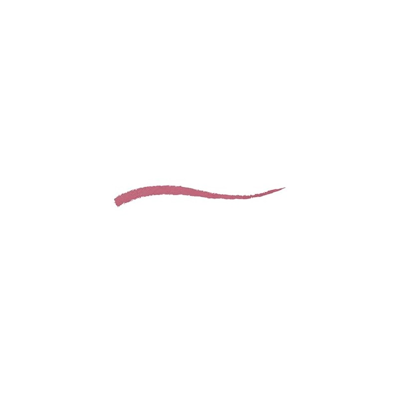 KIKO Milano Everlasting Colour Precision Lip Liner 12 | Automatic