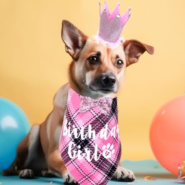 Dog Birthday Outfit - Birthday Hat Crown with Numbers, Dogs Bandanas Girl, and Bow Tie Pink Girl Dog Birthday Dogs Birthday Party Supplies for Medium Small Pets Puppy Birthday Girl (Pink)