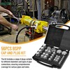 Venussar 56 Pcs BSPP Cap and Plug Kit, Hydraulic Cap