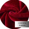JIAHANNHA Fleece Blanket King Size Red 108 by 90 Inches