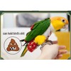 Bird Flight Suits Diapers, Parrot Flight Suits Diapers for Monk