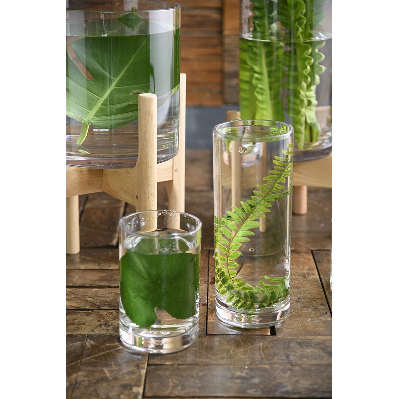 FOYER 2300057CL Unbreakable Flower Base Polycarbonate, Stylish, Height 7.1 inches