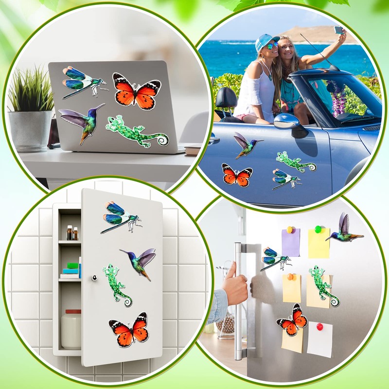 8 Pcs Screen Magnets Dragonfly Decorative Magnetic Flexible Double Sided
