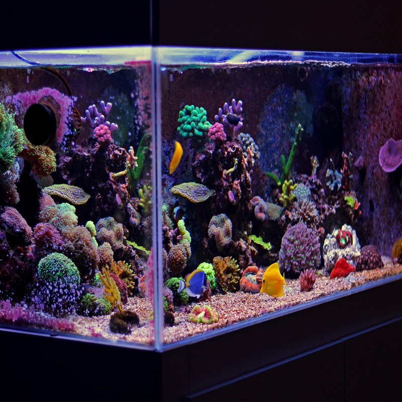 PATIKIL Aquarium Filter Media Bags 10x10cm 4 Pack Fish Tank