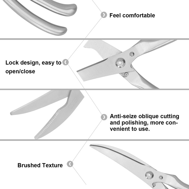 Chicken Bone Scissor Stainless Steel Poultry Kitchen Shear with Safe