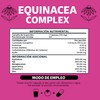 Beyond Vitamins | Equinacea Complex con Ajo y Vitamina C