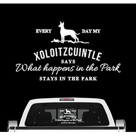Siviwonder Xoloitzcuintle Vintage Dog Sticker Dog Motif Car Film Naked Dog Xolo Colour White Size 20 cm