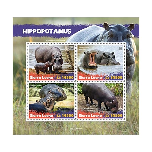Sierra Leone - 2020 Pygmy Hippopotamus - 4 Stamp Sheet