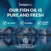 Intelligent Labs Triglyceride Omega 3, 2250mg per 3-Capsule Serving, Burpless