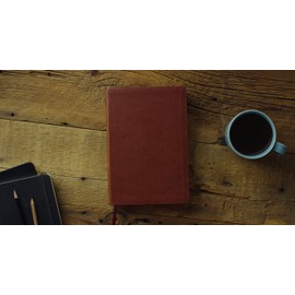 ESV Systematic Theology Study Bible: Theology Rooted in the Word of God (TruTone, Chestnut)