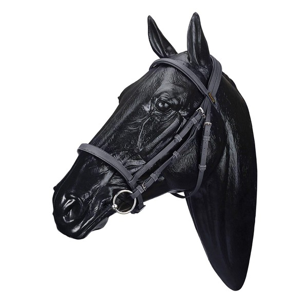 Wintec Bridle Without Flash Full Black