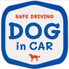 車 ステッカー シール 自動車 DOG IN CAR 犬 かわいい おしゃれ