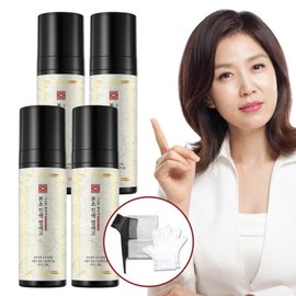 Kim Sohyung Hemile [김소형헤밀레] 본초 염색고 200ml*4병+ 염색도구 3종 어두운 갈색