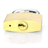 Solid Brass Padlock keyed Different Locks of 6 Pack, Solid