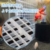 Aquarium Partition, Aquarium Isolation, Aquarium Separator, Set of 2, Rubber