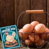 Fresh Eggs of Happy Chickens Metal Sign XL in 21