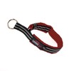 ComfortFlex Premium Padded Martingale Dog Collar – Reflective Waterproof Slip-On