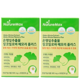 NatureMax Ginkgo Biloba Extract Memory Plus 500mg 60 Tablets / 네이처맥스 은행잎추출물 징코빌로바 메모리 플러스 500mg x 60정