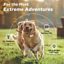 DBDD Smart GPS Tracker for Dogs - Real-Time Location & AI Health Assistant, Waterproof Electronic Fence Collar for Escape