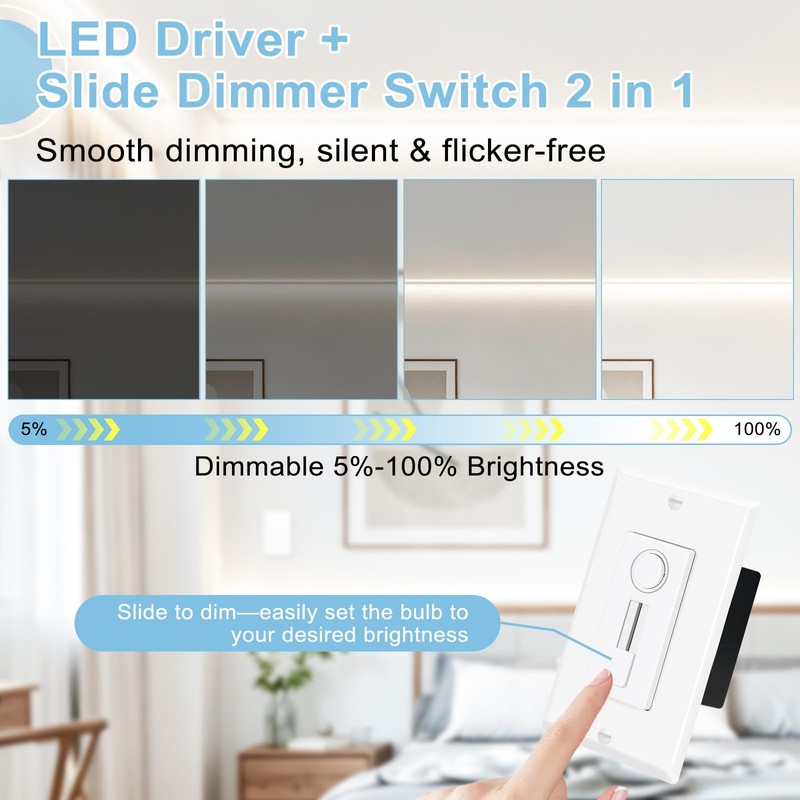2-in-1 Dimmer Switch & 12V LED Driver, 60W Slide Dimmer