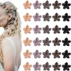 hisial 30PCS Mini Flower Hair Clips for Women Girls Small
