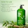 Majestic Pure Tea Tree Oil Hair Shampoo - 16flOz