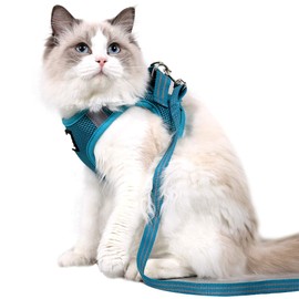 Dotoner Cat Outdoor Walking Harness Set, Pet Vest Harness Breathable Mesh, Adjustable Reflective Cat Chest Straps with Escape Proof Buckle (Pine Green, S)