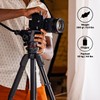 Manfrotto XCHANGE Base, Quick Release Mount, Universal 3/8" Thread, Supports
