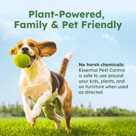 BugMD Pest Control Essential Oil Concentrate (3.7 oz, 2 Pack) - Plant Powered Bug Spray Quick Kills Flies, Ants, Roaches, Mosquitoes, and More