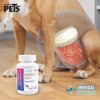 Ms Carbodetox Tabletas Masticables P/perros 60 Tab