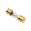 Raptor RAGU60-5 Mid Series, AGU Fuses