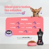 Omega 3 6 9 B Life Cápsula 500ml