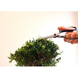 200 岡恒 植木鋏A型 ロング90 BP入 ブラック