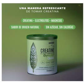 Birdman Creatine Refresher | Creatina Monohidratada con Electrolitos, Magnesio y Vitaminas | Sin Azúcar, Sin Calorías | Saborizantes y Endulzantes Naturales | Sabor Lemon Twist | 30 Porciones | 300g