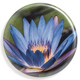 Lavender Water Lily Art Pocket Mirror