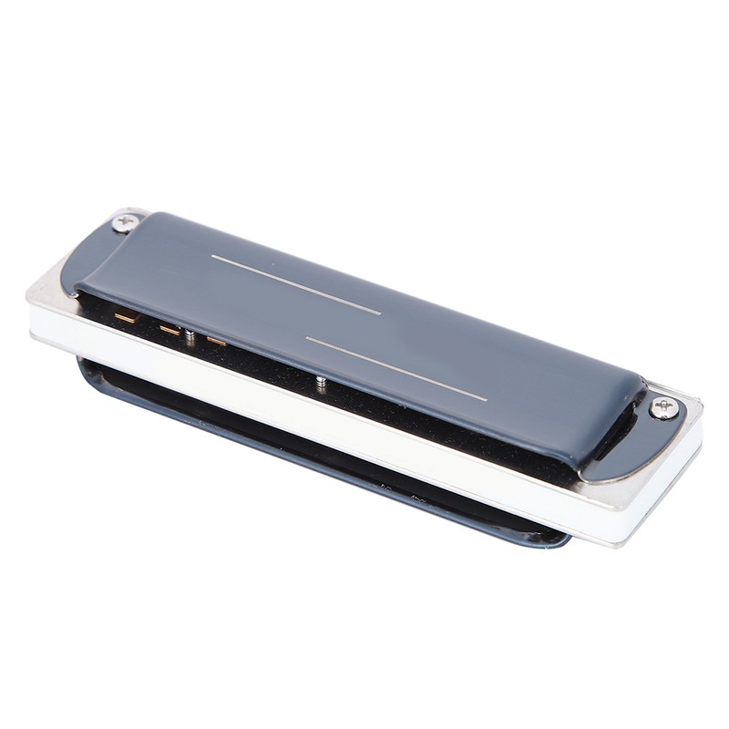 Blues Harp Harmonica 10‑Hole Professional Mouthorgan G Key Gifts Stainless
