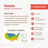 Back to The Roots 100% Organic Seed Packet - Tomato