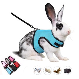 Rabbit Leash and Harness Set Escape Proof, Bunny Vest Hamster Leash Set Mesh Eescape Proof Walking Training for Small Animal Pets Rat Squirrel Ferret Guinea Pig Bunny,Blue L