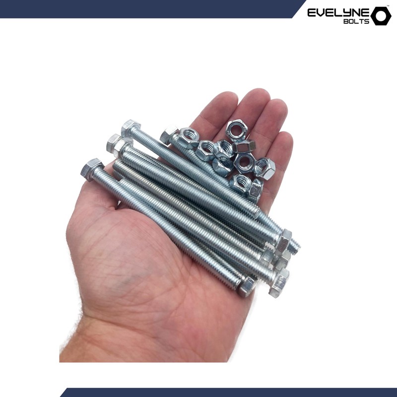 M8 Nuts & Bolt 10 Pack (M8 x 100mm Bolts