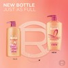 L'Oreal Paris Elvive Dream Lengths Shampoo and Conditioner Kit, Paraben