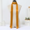 Long Thin Skinny Scarf Satin Neckerchief Ribbon Tie Waist Belt