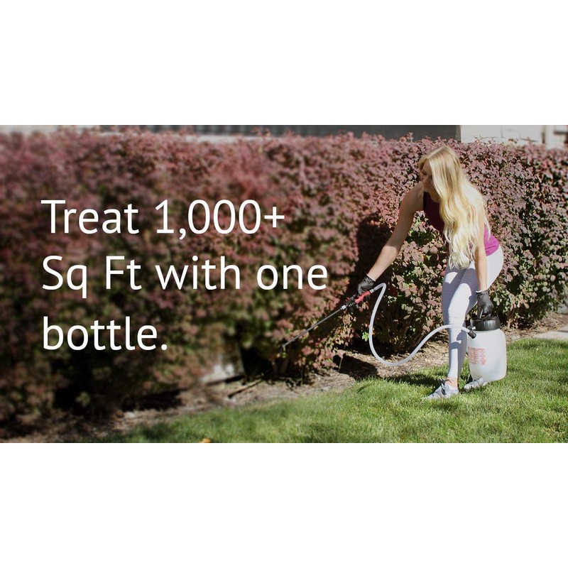 Temprid FX Insecticide 8ml Bottle (1)