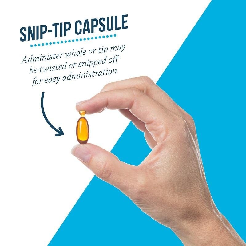 Free Form Snip Tips Omega-3 Fish Oil Liquid Supplement for
