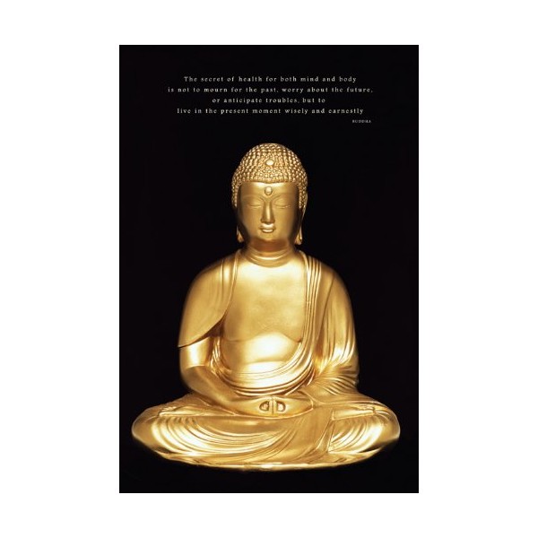 Pyramid International " Buddha Maxi Poster, Multi-Colour, 61 x 91.5 x 1.3 cm
