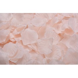 Ocharzy Rose Petals Silk 1000pcs Petals for Wedding Artificial Flower Petals Decoration Decoration (A-Champagne)