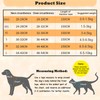 GIAPINST Dog & Cat Harness, Step-in Reflective Breathable Mesh Vest